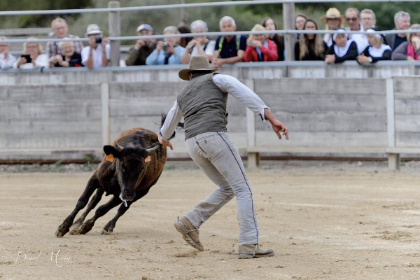 Soirée Camarguaise