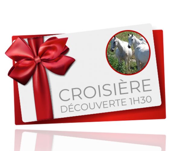 bon cadeau croisière découverte 1h30