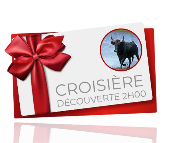 bon cadeau Croisière découverte 2h