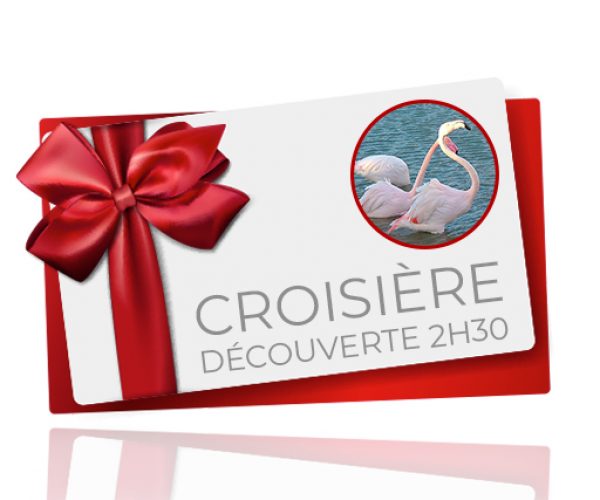 bon cadeau croisière découverte 2h30